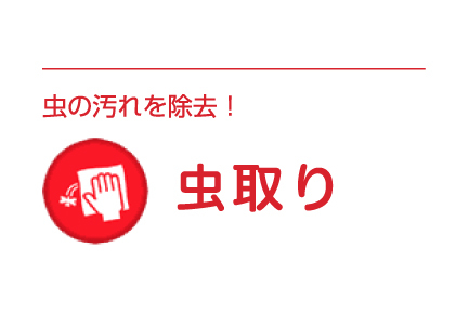 10minit-虫取り