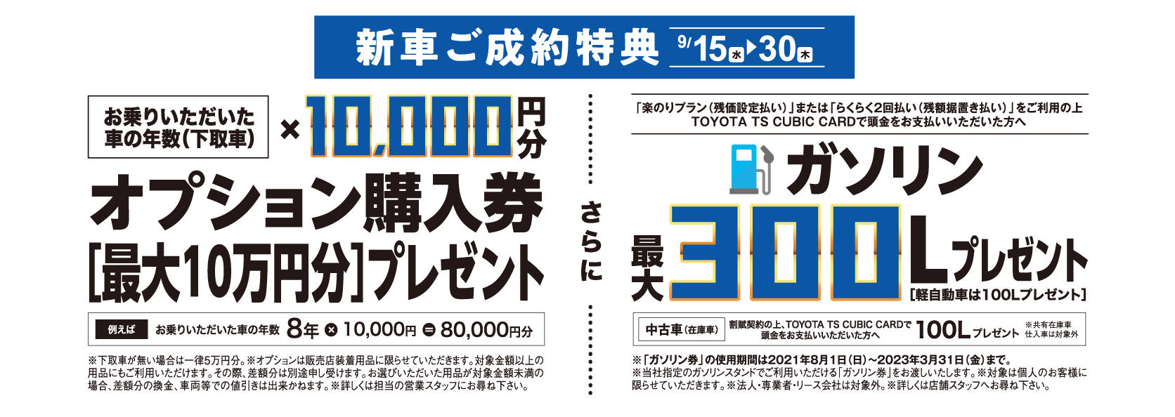 何でも揃う 車両購入券 10万円分 その他 Ferrianiejamal Com Br