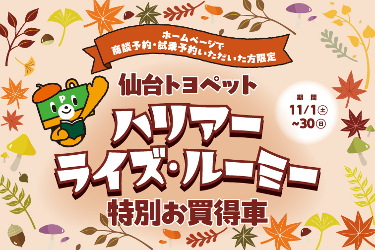 11月HP限定イベントキャンペーン